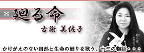 �ÎӔ����q/��閽